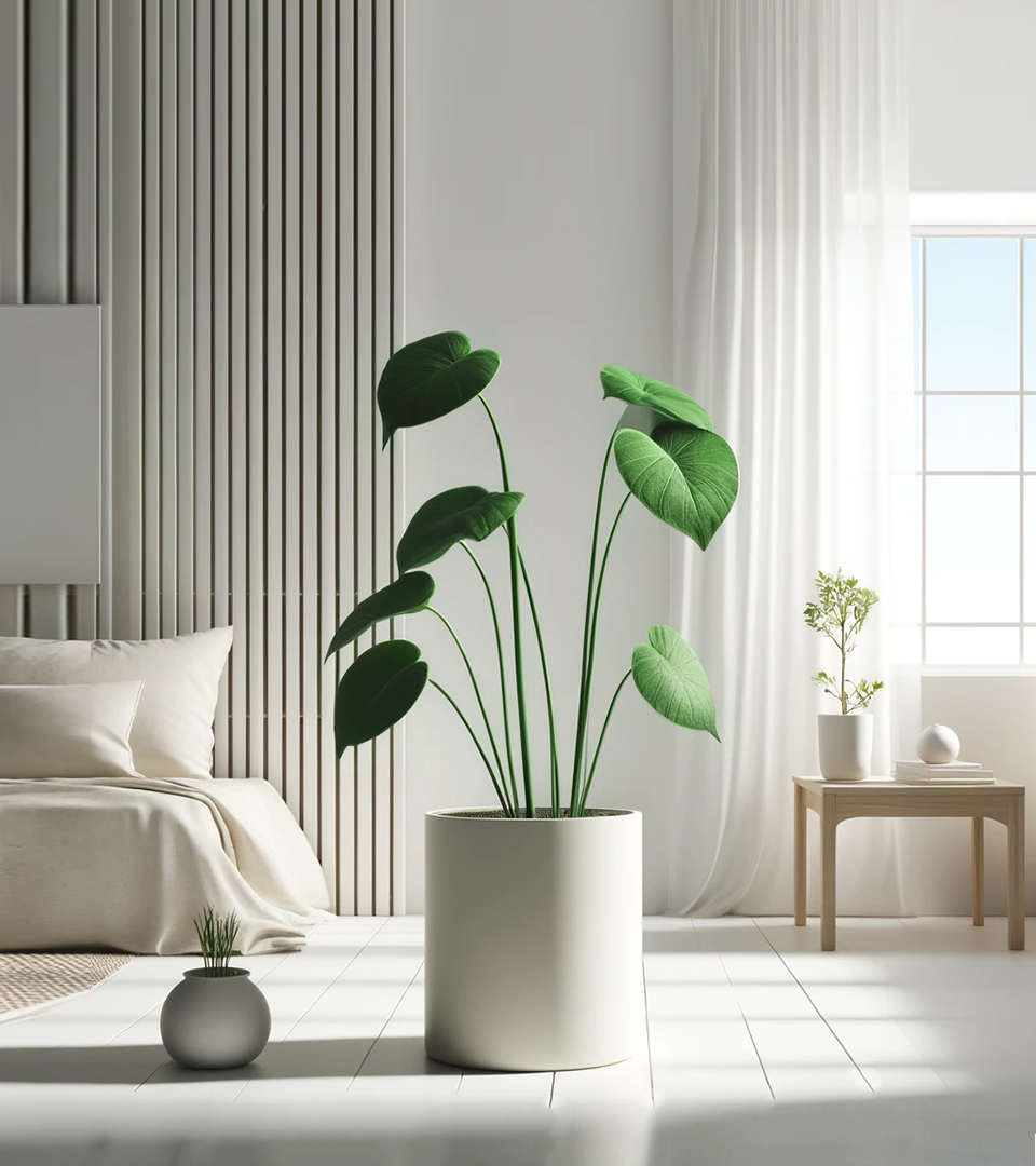 회원가입 페이지 이미지